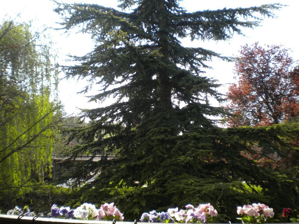 فيلا Aux Marguerites Sainte-Genevieve-les-Gasny الغرفة الصورة